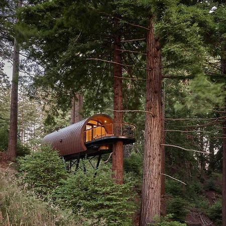 ~* The Spectacular Spyglass Treehouse *~ Occidental Eksteriør billede