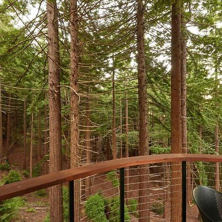~* The Spectacular Spyglass Treehouse *~ Occidental Eksteriør billede