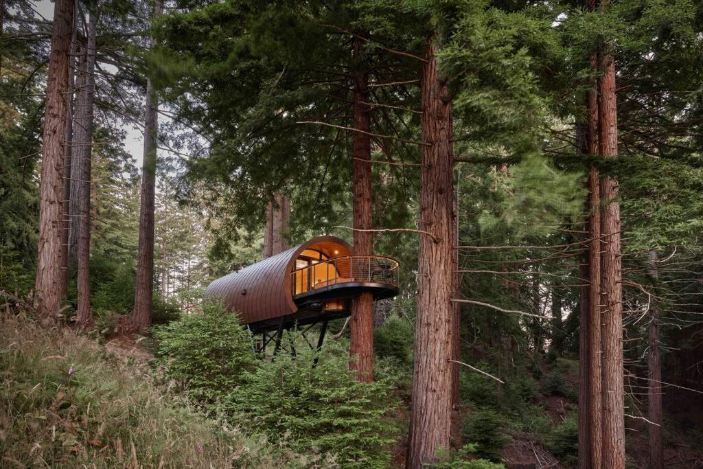 ~* The Spectacular Spyglass Treehouse *~ Occidental Eksteriør billede