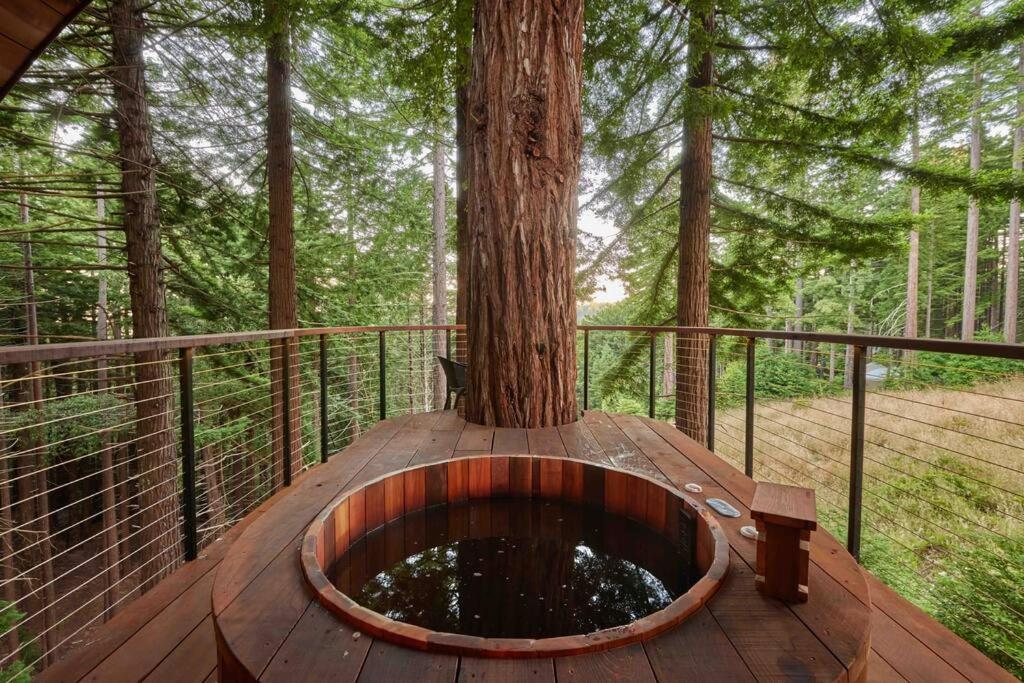 ~* The Spectacular Spyglass Treehouse *~ Occidental Eksteriør billede