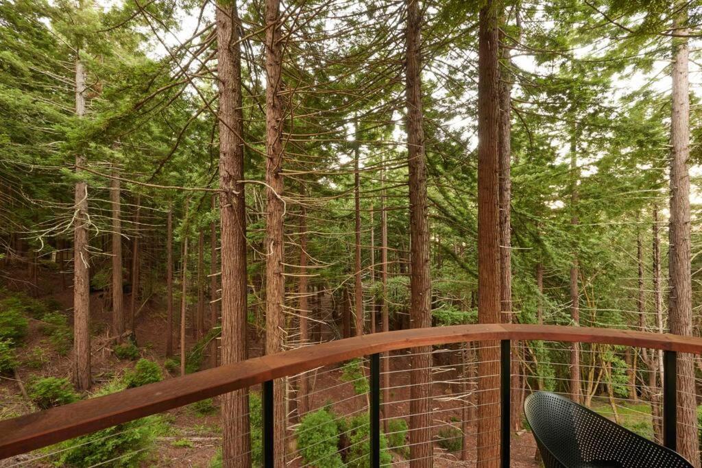 ~* The Spectacular Spyglass Treehouse *~ Occidental Eksteriør billede
